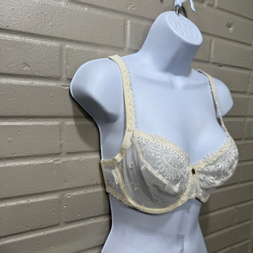 Vintage Y2K Chantelle Paris Lace Embroidered Sheer Mesh Bra‎ 32DD Made in France